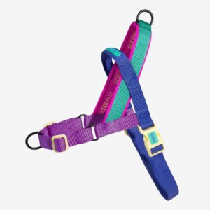 4930 zeedog soft walk harness shockwave main 1.jpg